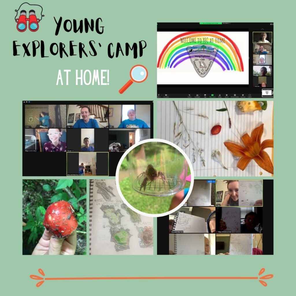 Young Explorers’ Camp
