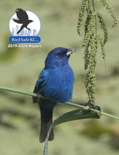 2024 BirdSafeKC Report