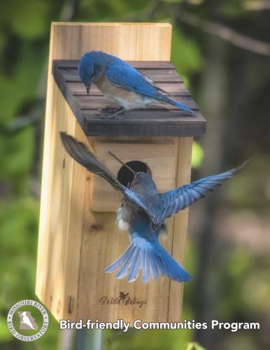 2025 Bird-friendly Communities Report